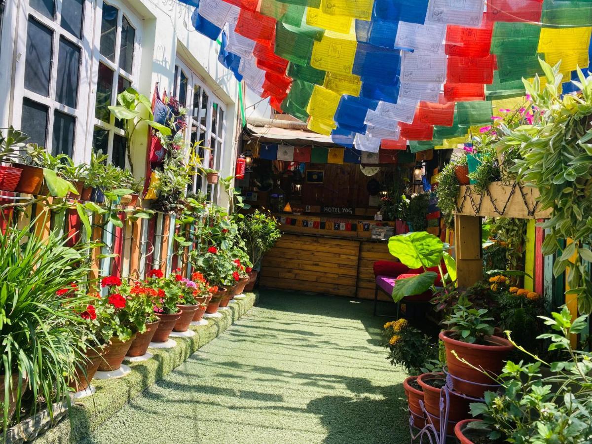 Yog Hostel Kathmandu Ngoại thất bức ảnh