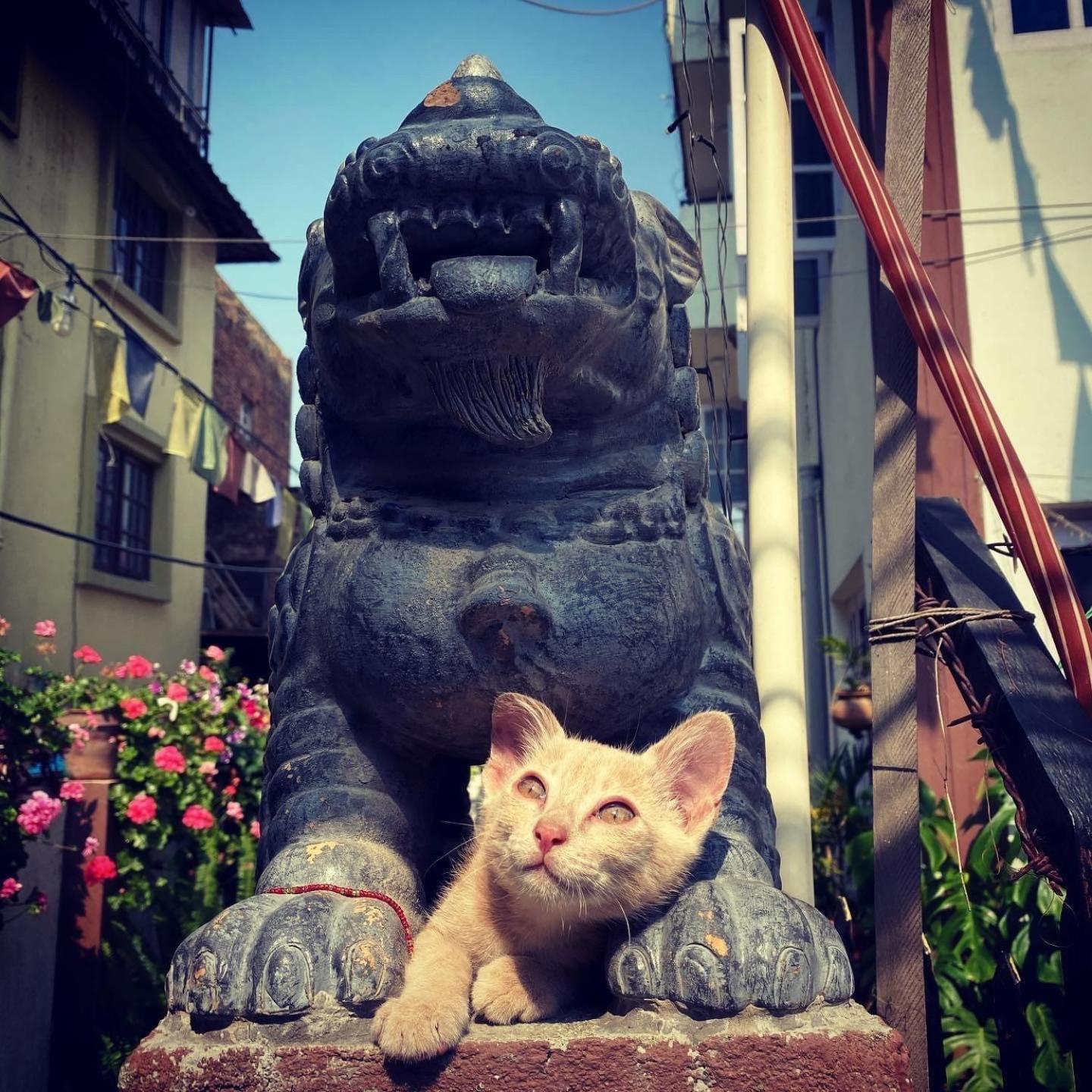 Yog Hostel Kathmandu Ngoại thất bức ảnh